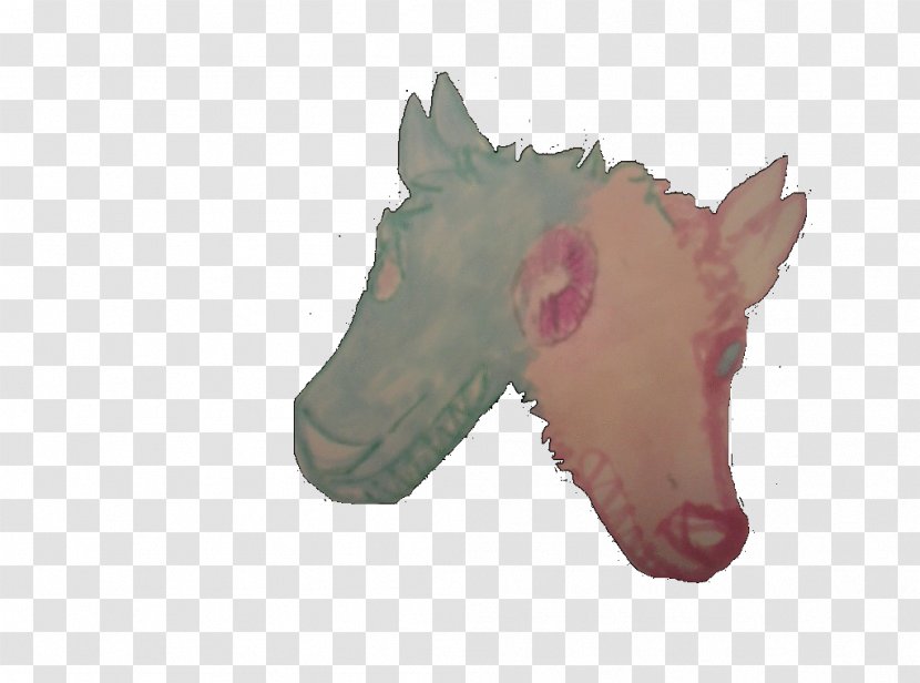 Snout - Head - Wolf Shadow Transparent PNG