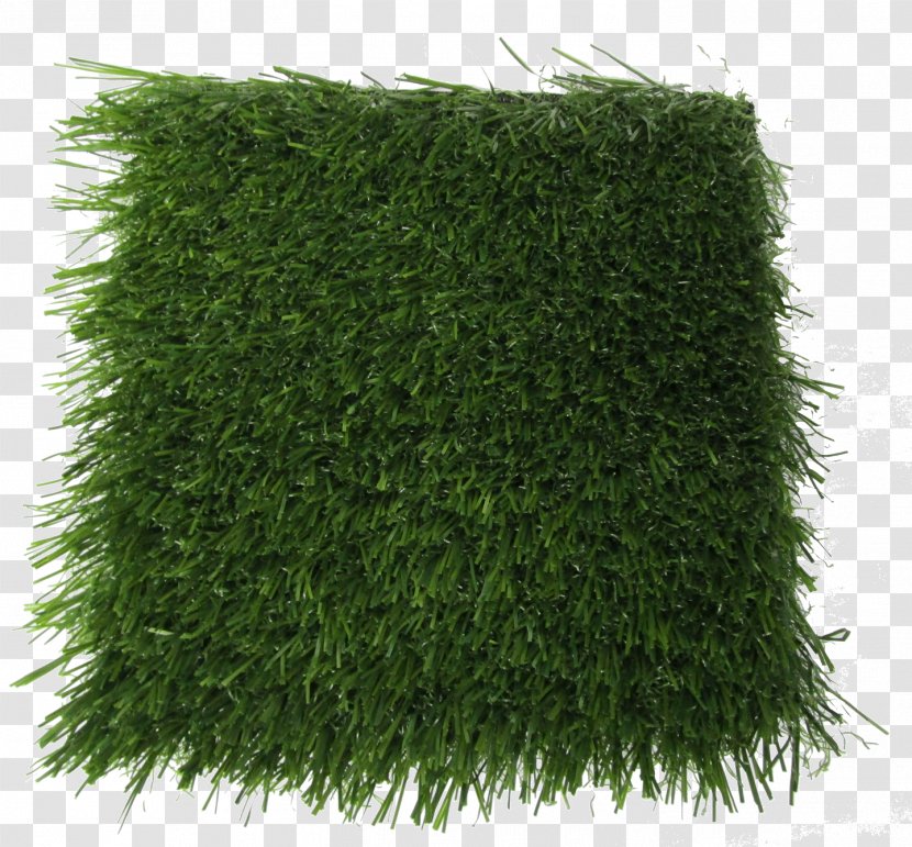 Product Lawn Polyethylene Field Olive Artificial Turf - Tree - Finishing Touch Blade Transparent PNG