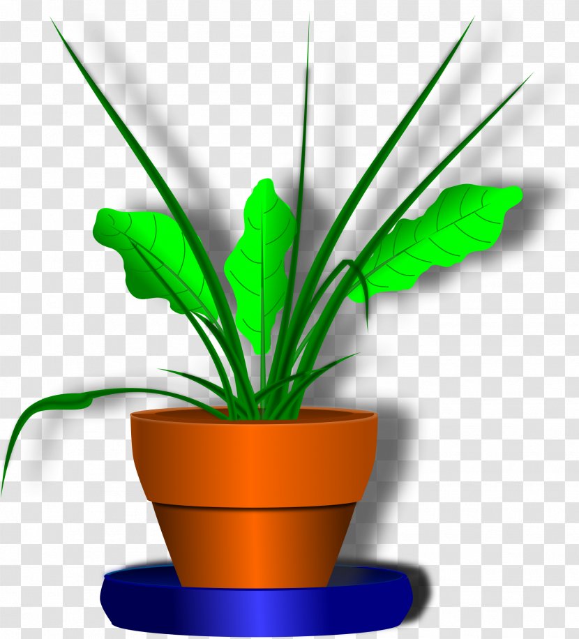 Flower Garden - Houseplant - Plant Stem Transparent PNG