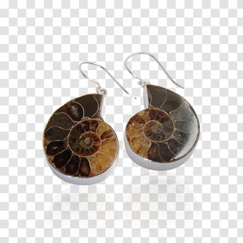 Earring Jewellery Silver Massachusetts Institute Of Technology Made In Italy Transparent PNG