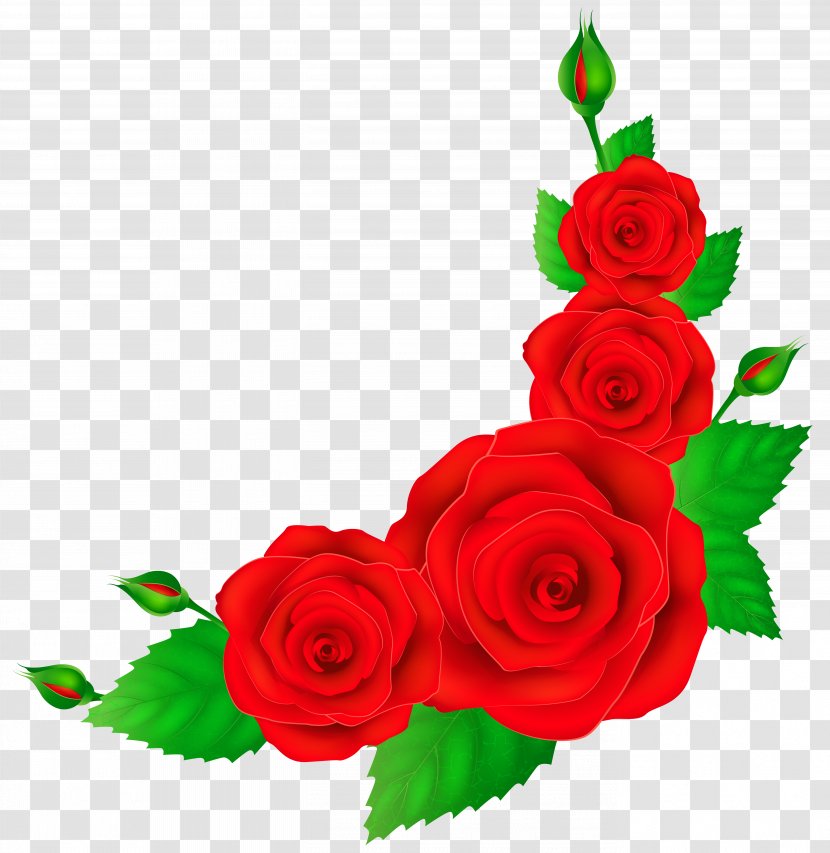 Rose Flower Red Clip Art - Petals Transparent PNG