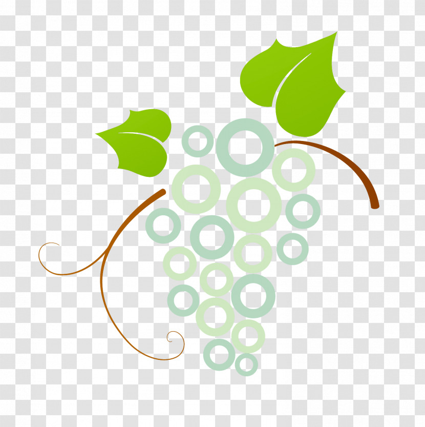Leaf Grape Grapevine Family Plant Line Transparent PNG