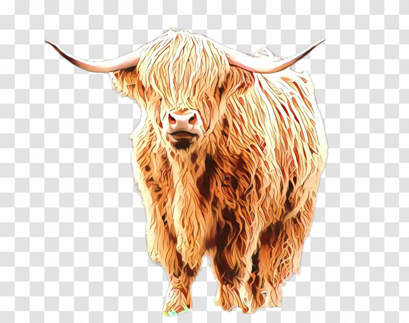 Horn Bovine Bull Livestock Ox Transparent PNG