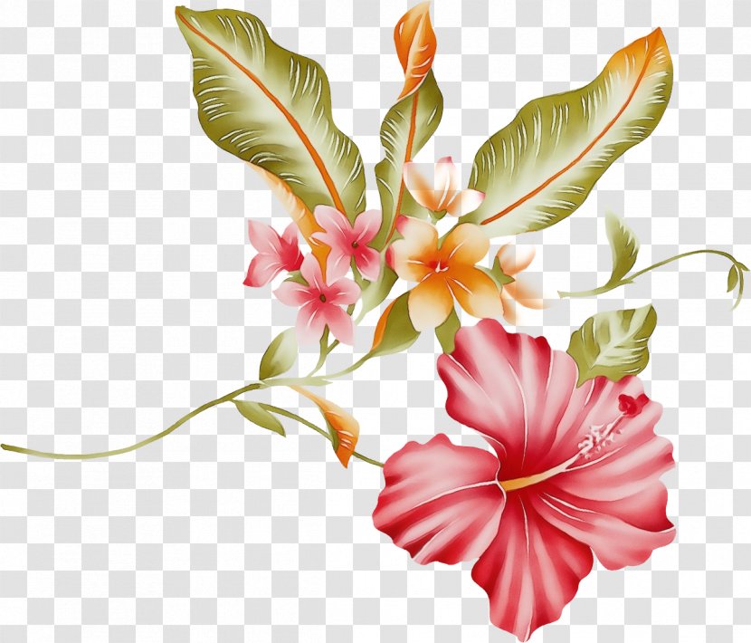 Floral Design Cut Flowers Petal Painting Transparent PNG