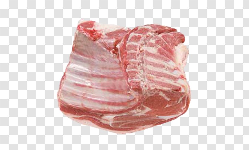 Lamb And Mutton Halal Sheep Goat Meat - Watercolor Transparent PNG