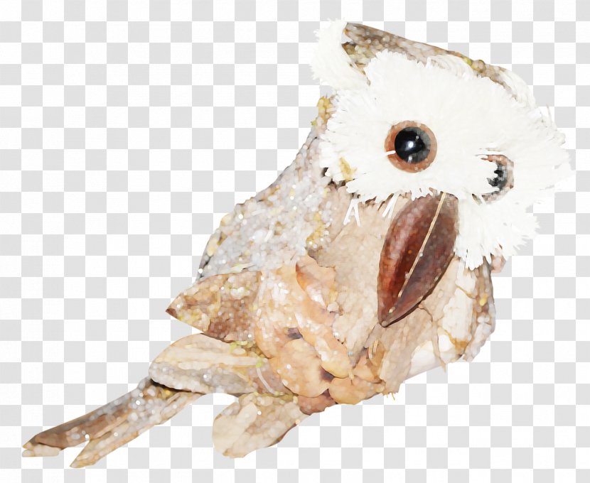 Bird Of Prey Owl Beak Animal - Hand Painted Transparent PNG