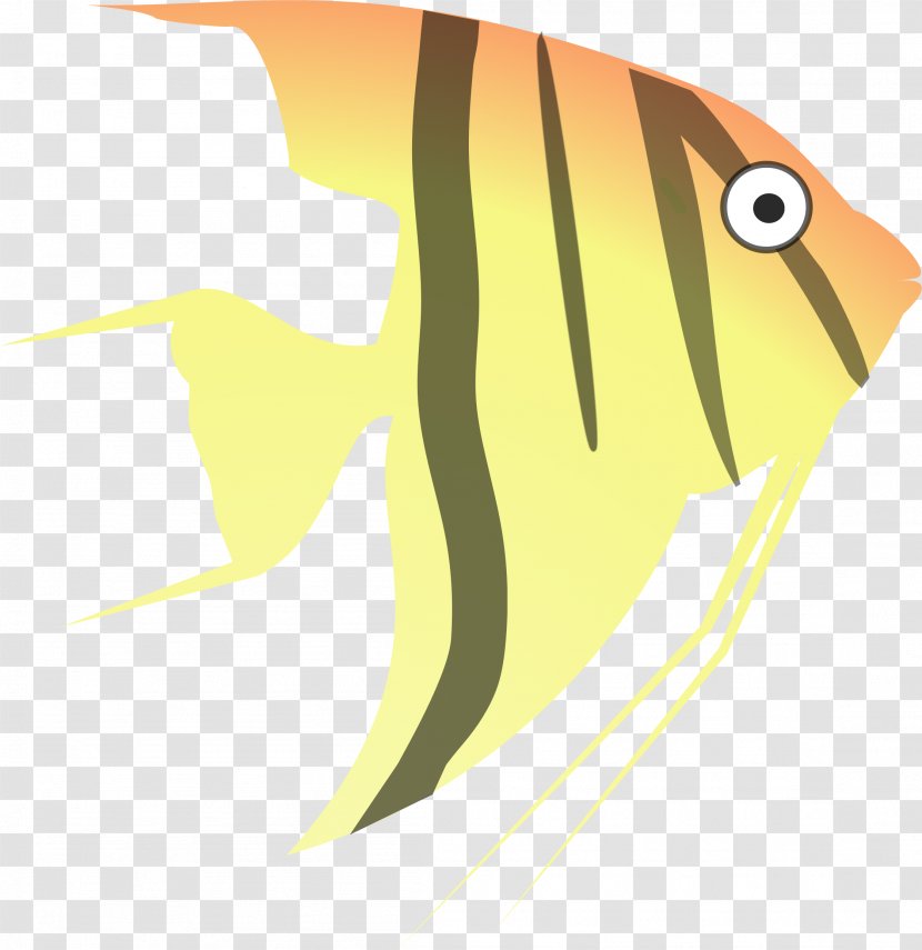 Cartoon Clip Art - Angelfish - Angels Transparent PNG