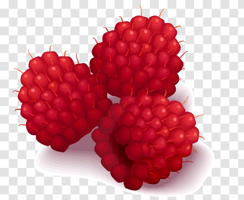 Raspberry Clip Art - Red Transparent PNG
