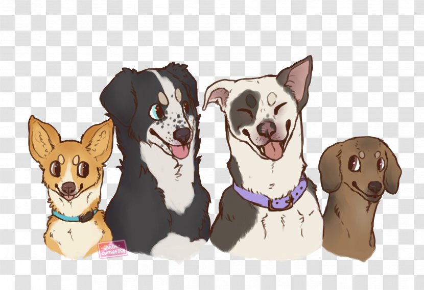 Puppy Border Collie Staffordshire Bull Terrier Dog Breed - Like Mammal - Corgi Clipart Transparent PNG