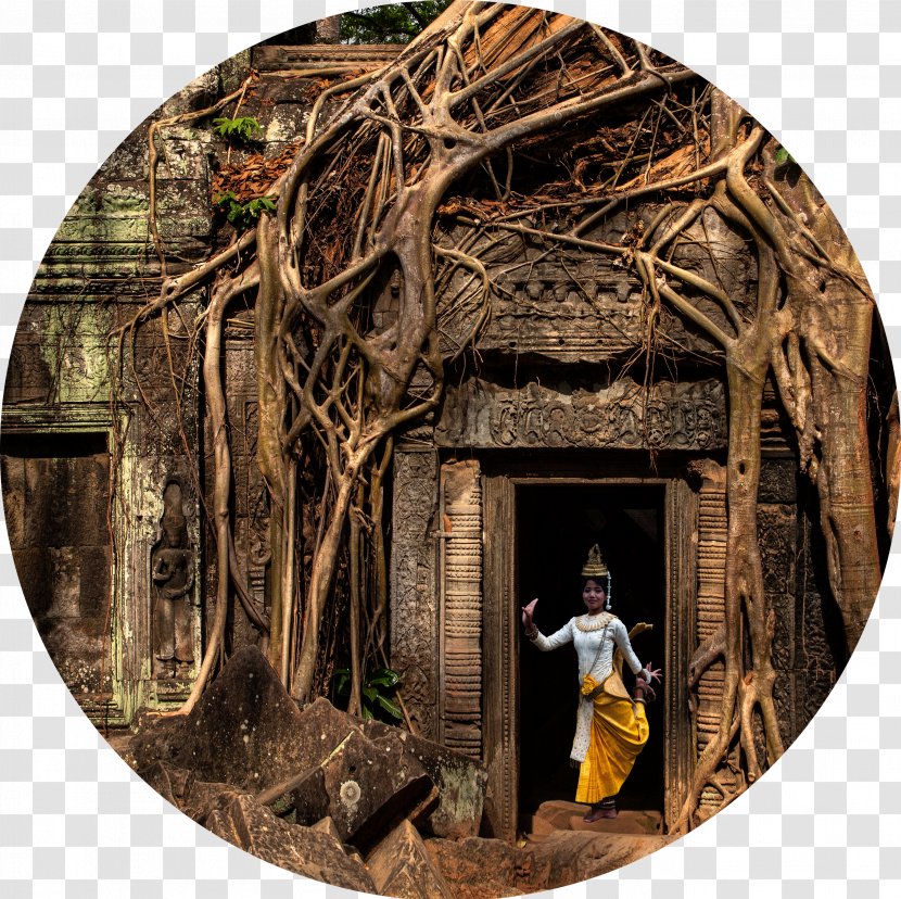 Ta Prohm Angkor Wat Bayon Phnom Temple - Thom Transparent PNG