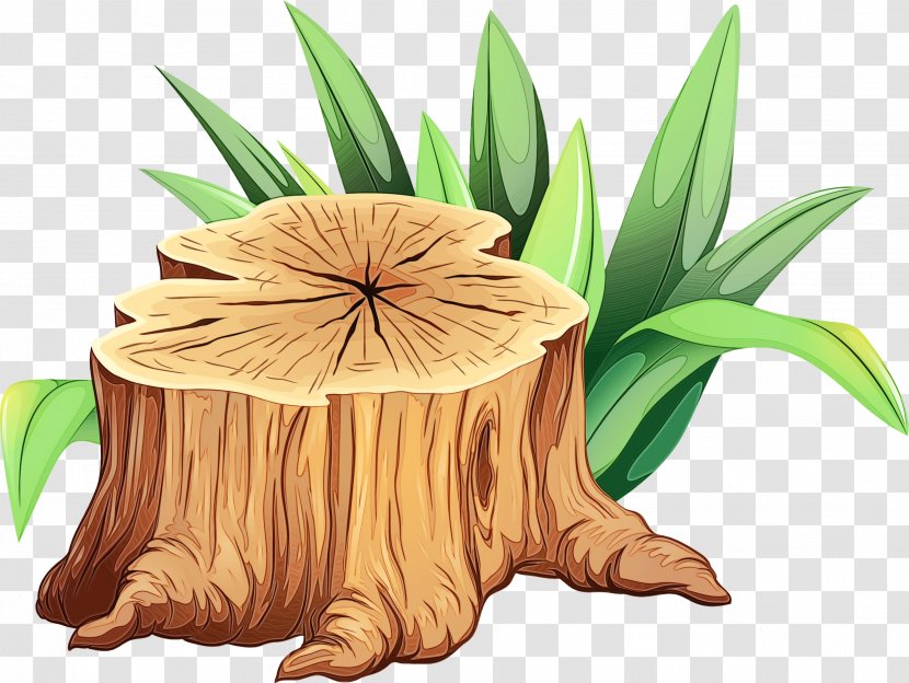Tree Stump - Plant - Fictional Character Transparent PNG