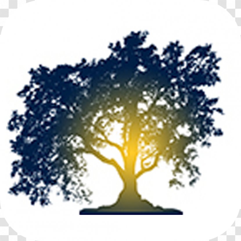 Certified Arborist Branch Tree Web Design - Woody Plant - Walnuts Transparent PNG
