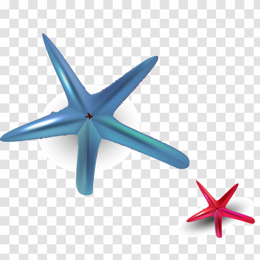 Starfish Euclidean Vector - Plot - Hand Painted Colored Material Transparent PNG