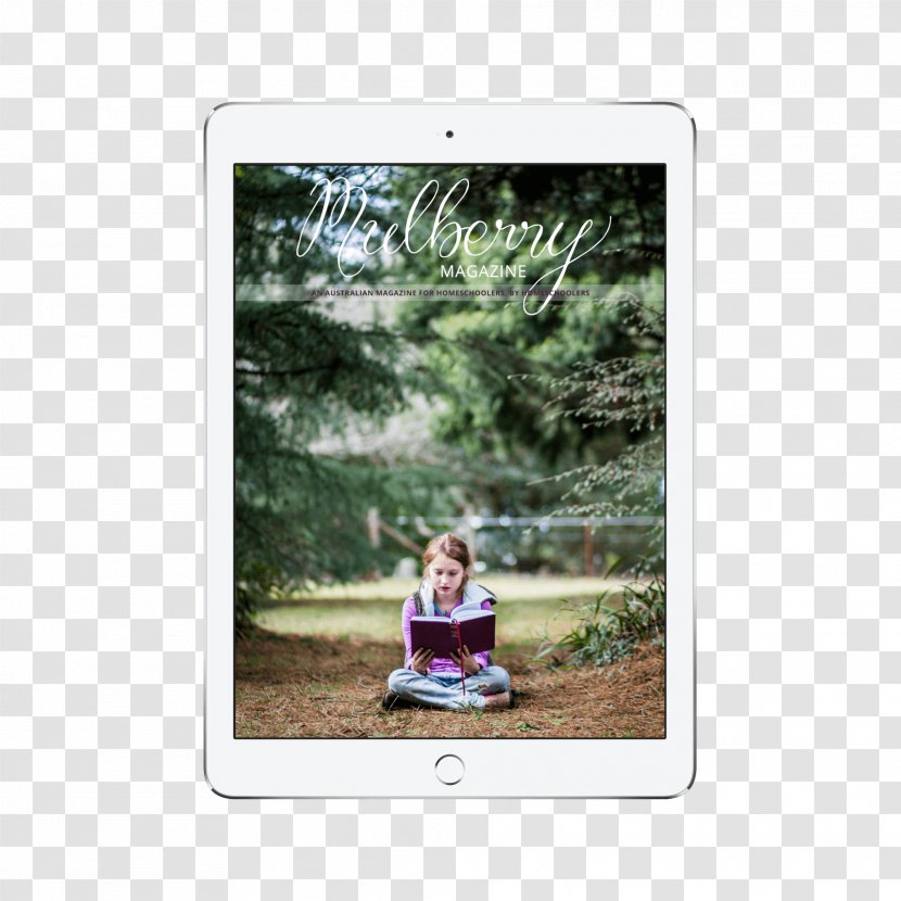 Homeschooling Magazine Education Deschooling - Craft - School Transparent PNG