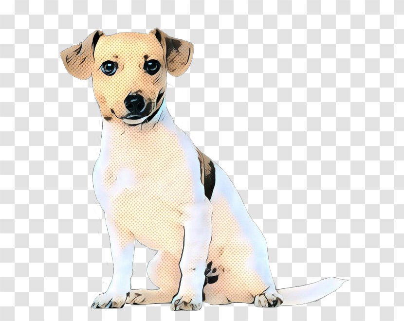 Retro Background - Dog Clothes - Jack Russell Terrier Fawn Transparent PNG