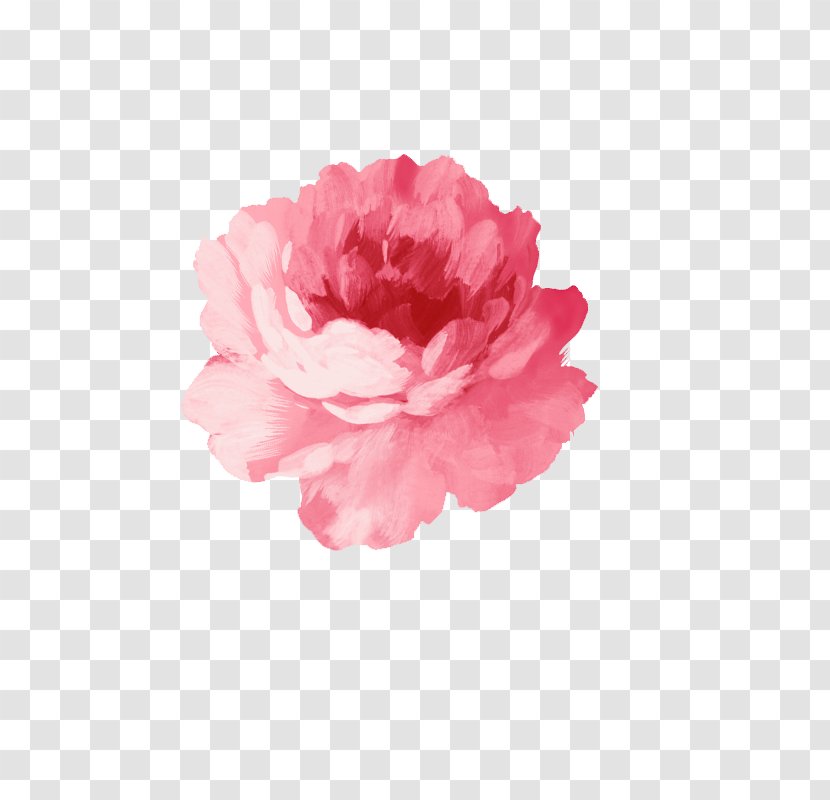 Flower Watercolor Painting Pink Transparent PNG