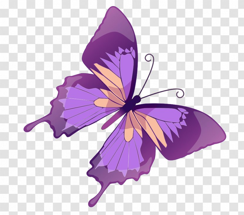 Butterfly Royalty-free Photography Clip Art - Stock Transparent PNG