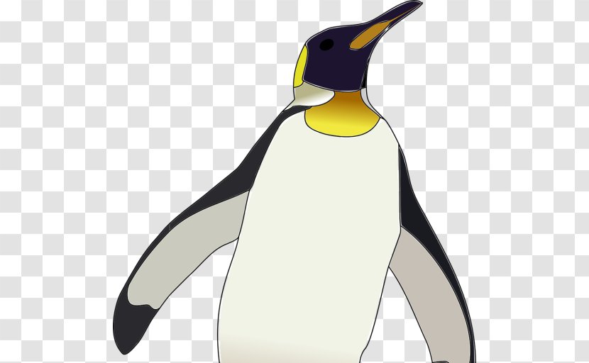 Emperor Penguin Antarctica Bird King - Gentoo Transparent PNG