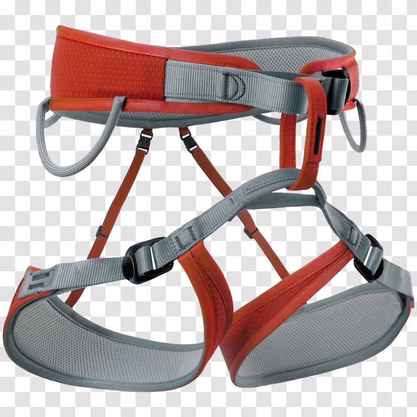 Climbing Harnesses Via Ferrata Mountaineering Safety Harness - Sports Equipment - Child Rock Wall Transparent PNG