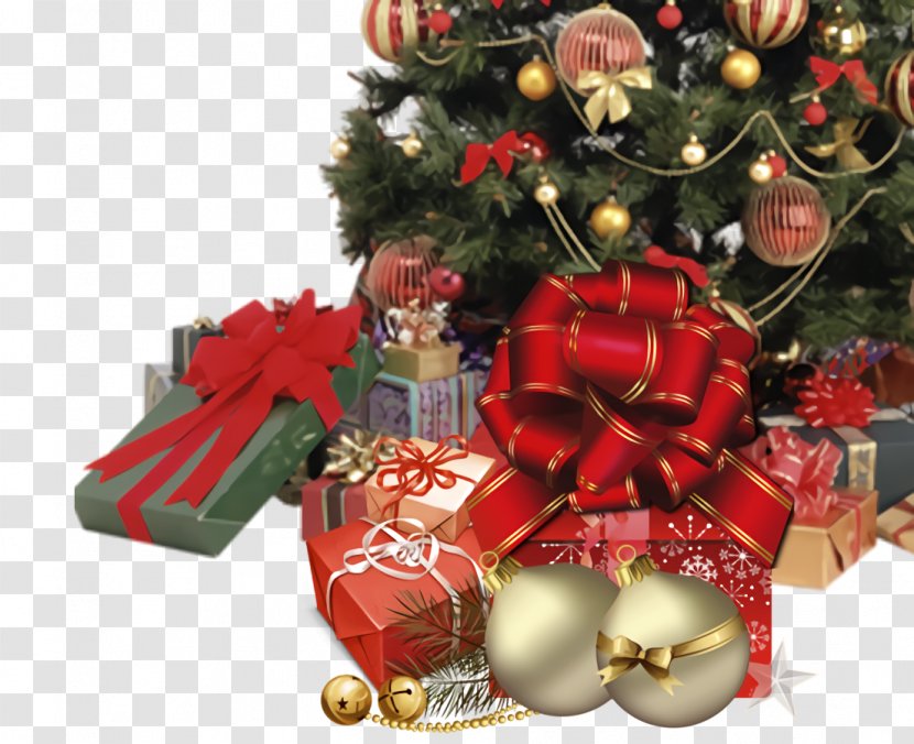 Christmas Gift New Year - Tree - Plant Interior Design Transparent PNG