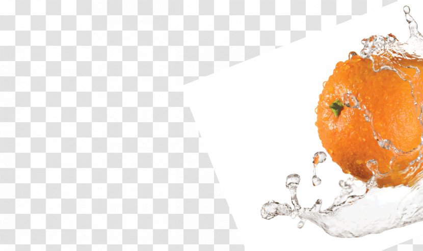 Orange S.A. - Vegetarian Food Transparent PNG