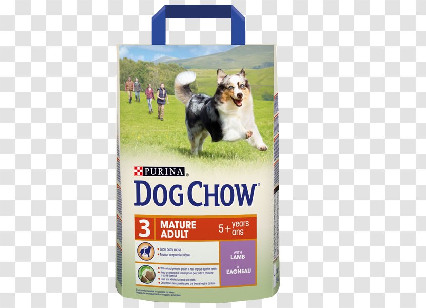 Dog Chow Food Nestlé Purina PetCare Company Puppy - Pet Transparent PNG