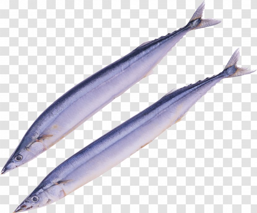 Pacific Saury Kabayaki Sashimi Food Autumn - Anchovy - Fish Transparent PNG