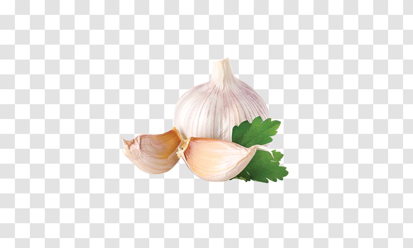 Garlic Spice Herb Food Mincing - Onions And Onion Small Flap Transparent PNG