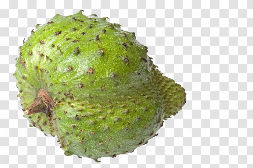 Soursop Sugar Apple Fruit Sugar-apple Photography - Fan Lychee Transparent PNG