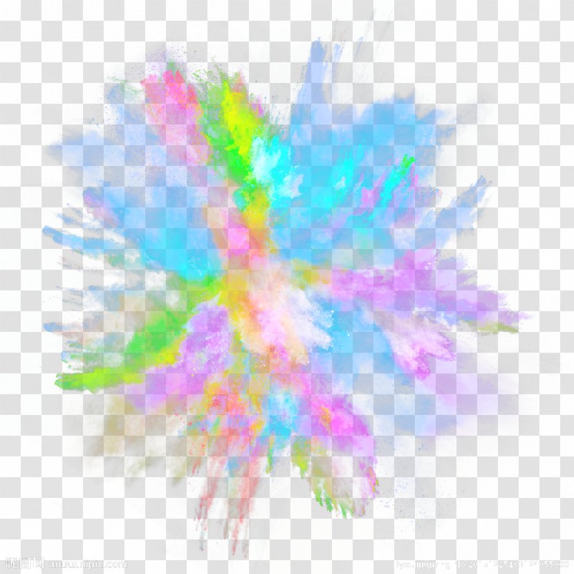 Dust Explosion Color - Frame - Women's Transparent PNG