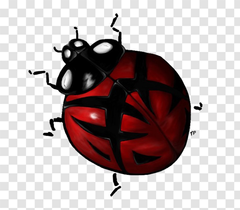 Beetle Insect Lady Bird Clip Art - Ladybird Transparent PNG