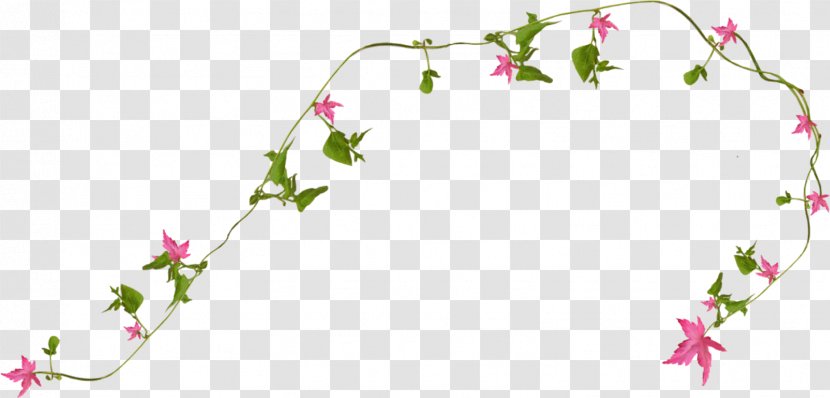 Vine Rattan - Flower - Pink Transparent PNG