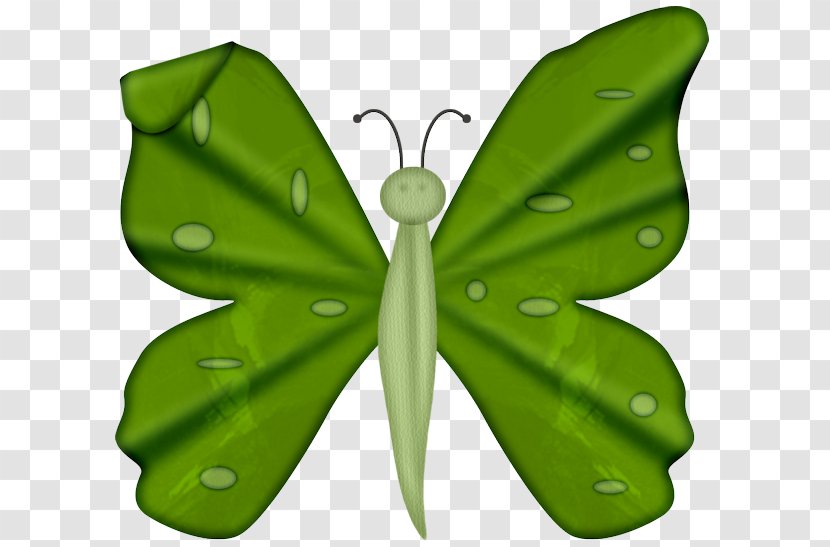 Butterflies And Moths Drawing Clip Art - Spark Plug - Invertebrate Transparent PNG