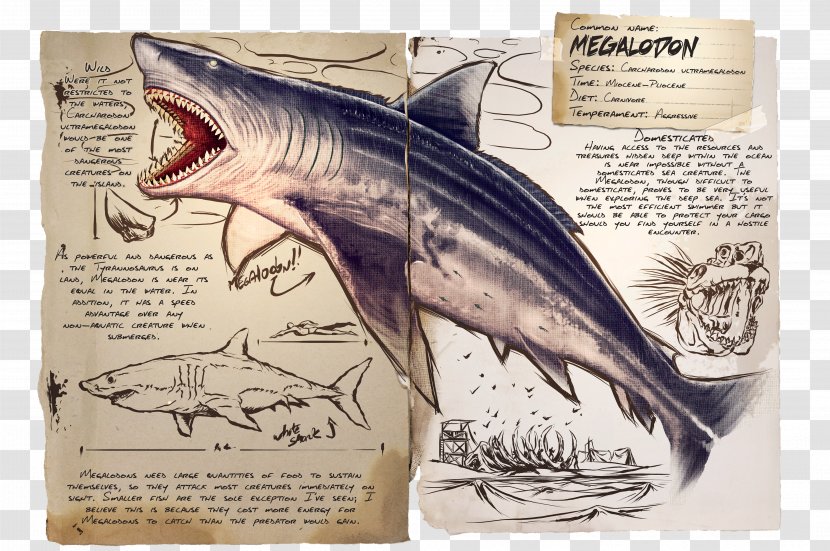 ARK: Survival Evolved Shark Megalodon Parasaurolophus Pteranodon - Great White Transparent PNG