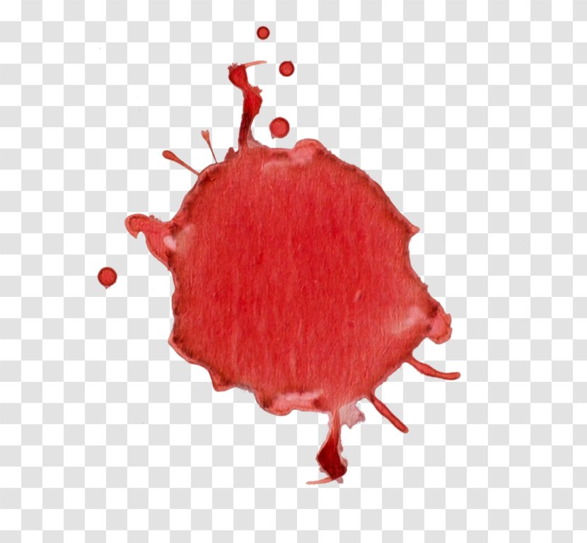 Blood - Organism Transparent PNG