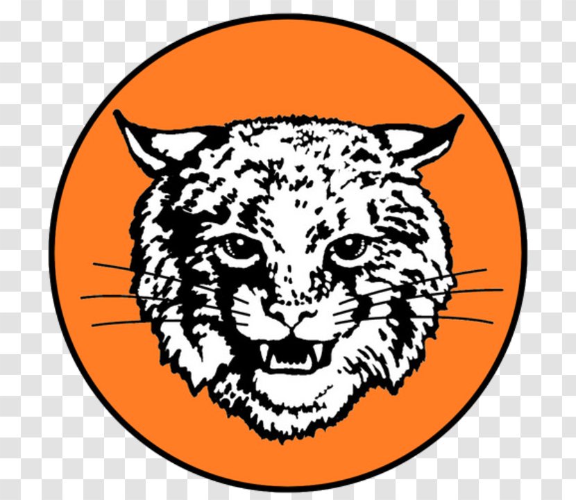 Tiger Northeastern Senior High School Whiskers Bobcat - Black Transparent PNG