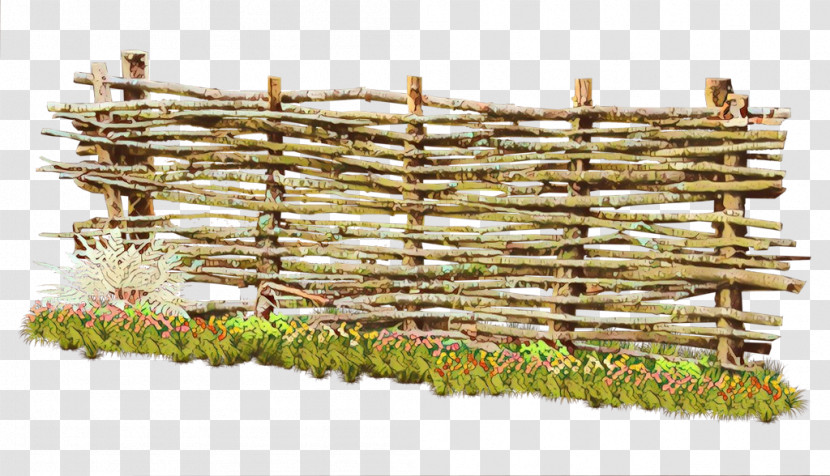 Fence Plant Grass Bamboo Vascular Plant Transparent PNG