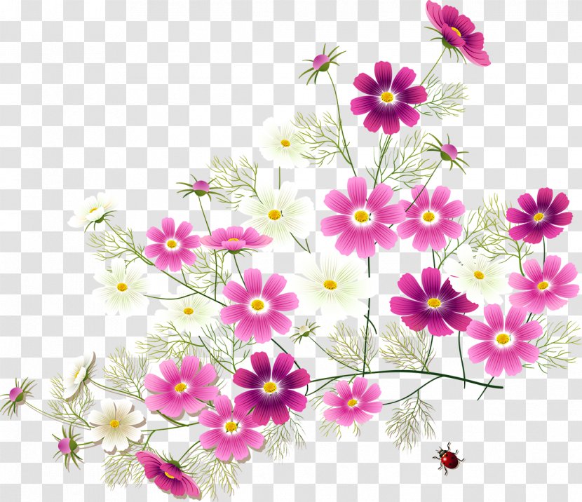 Flower Garden Roses Clip Art - Petal Transparent PNG
