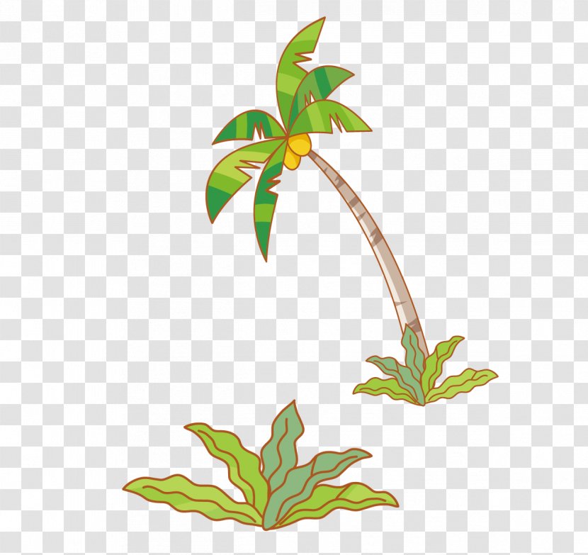 Coconut Tree - Plant - Plants And Vector Material Transparent PNG