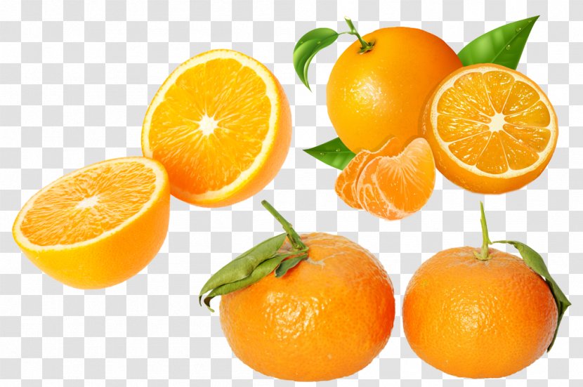 Juice Tangerine Citrus Xd7 Sinensis Orange Fruit - Oranges Elements Transparent PNG