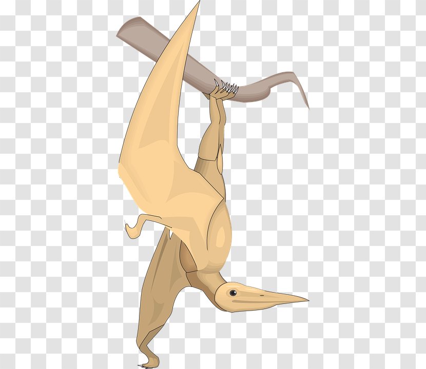 Velociraptor Dinosaur Bird - Mythical Creature - Creative Elements Of Classic Claw Transparent PNG