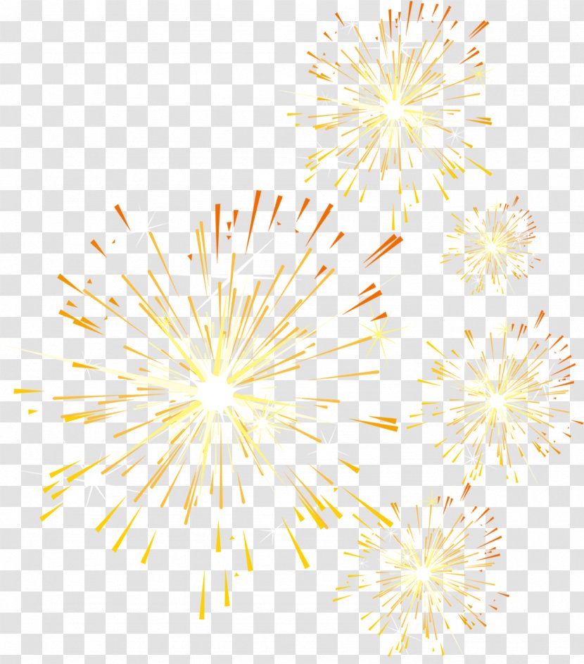 Petal Pattern - Dazzling Fireworks Year-end Promotions Transparent PNG