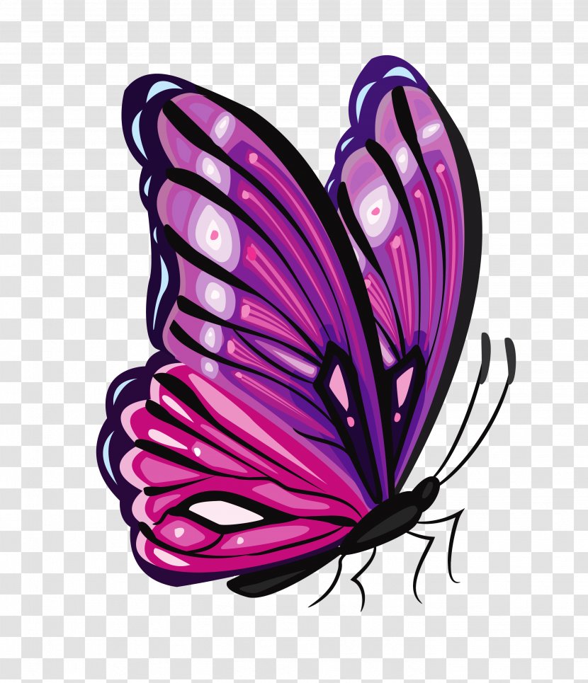Butterfly Purple Clip Art - Clipart Picture Transparent PNG