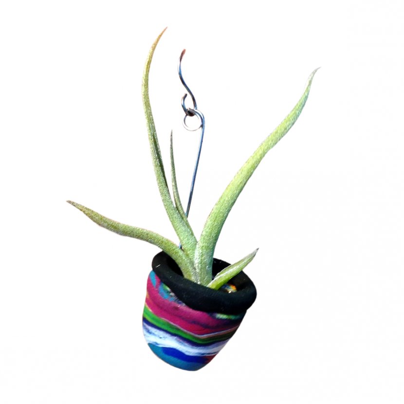 Flowerpot Houseplant Root - Few Aloe Transparent PNG