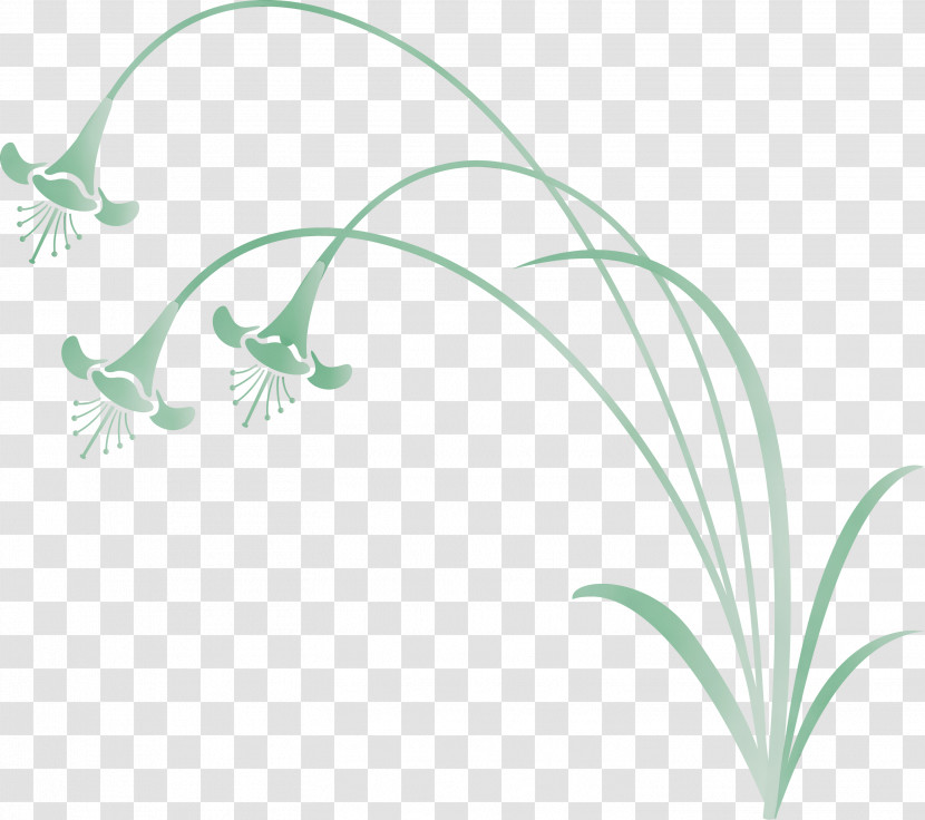 Leaf Plant Lily Of The Valley Grass Flower Transparent PNG