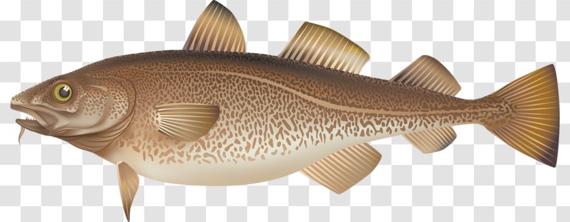 Fishing Illustrator Illustration - Drawing - Cute Fish Transparent PNG