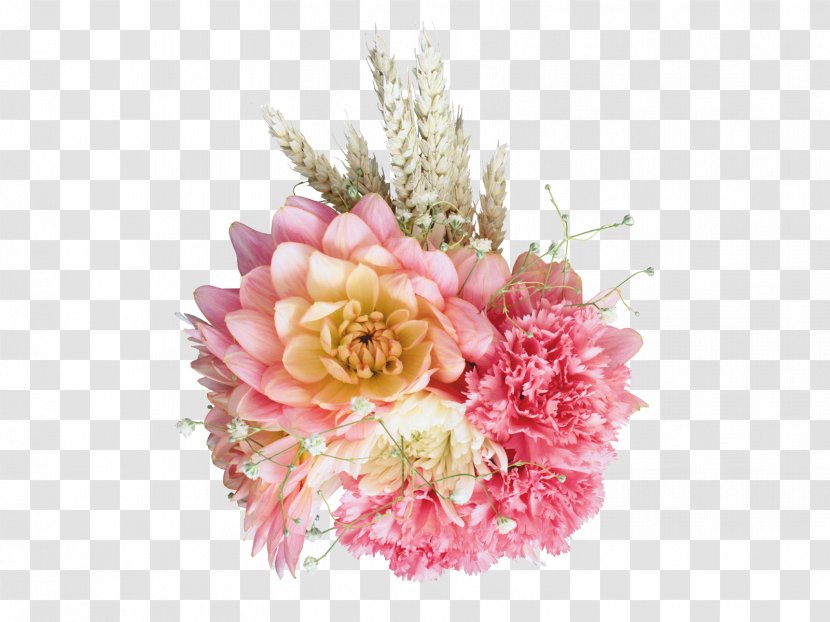 Carnation Flower Bouquet Floral Design - Petal Transparent PNG