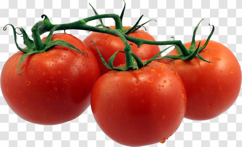 Tomato Soup Neapolitan Pizza - Tomatoes Transparent PNG
