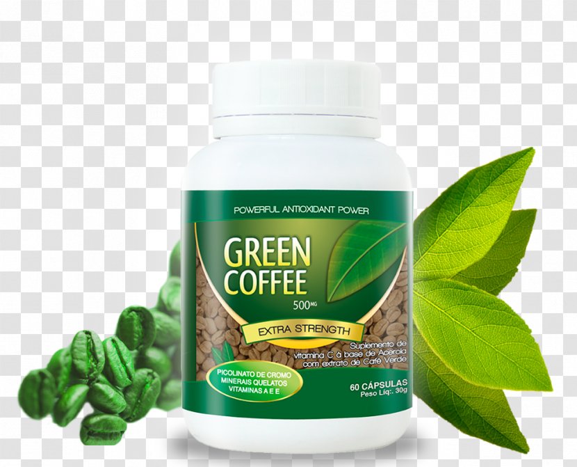 Green Coffee Extract Health Herbalism Dieting - Body Transparent PNG