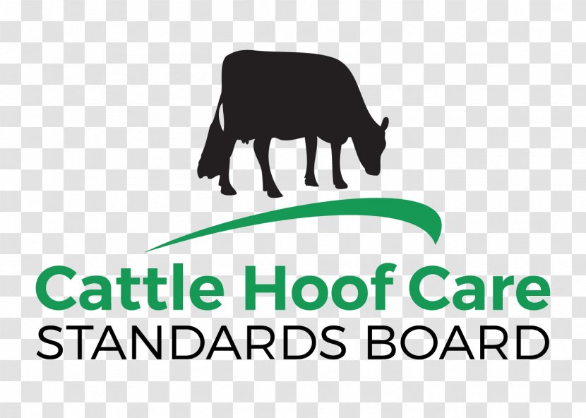 Cattle Logo Clip Art Brand Wildlife - Area - Highland Transparent PNG